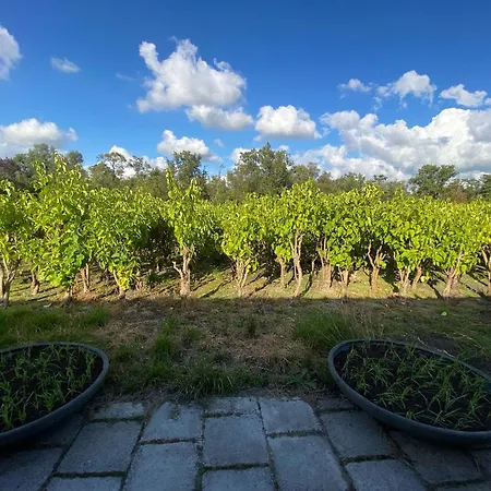 Stunning Island With African Asian Vibe Oude Meer