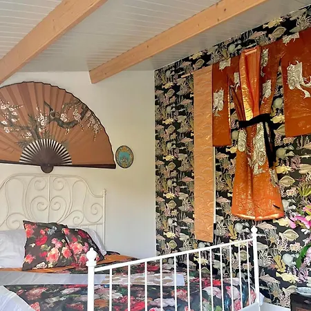 Stunning Island With African Asian Vibe *