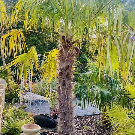 Stunning Island With African Asian Vibe Oude Meer