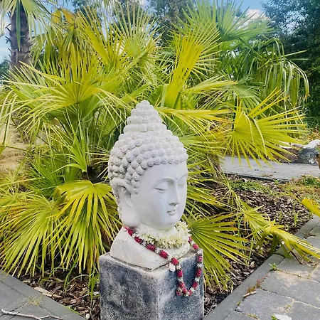 Stunning Island With African Asian Vibe * Oude Meer